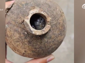 居民酒瓶中砸出过冬眼镜蛇 当事人:第一次见 已放归山林