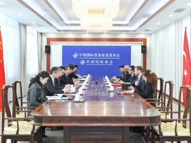 任鸿斌会见土耳其驻华大使于纳尔