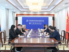 任鸿斌会见塞尔维亚共和国内外贸易部部长娅戈达·拉扎列维奇一行