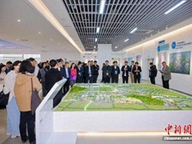 中新网:中国国际商会长三角国际商会联盟南京“觅商机”