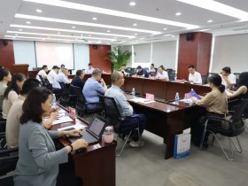 中国国际商会会员系列活动—经贸热点沙龙・中欧当前经贸问题交流研讨会在京举办