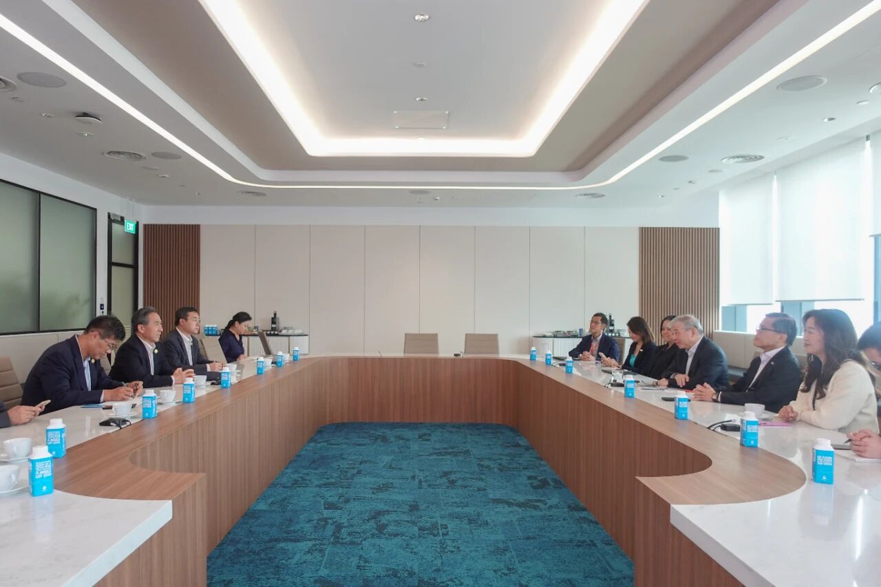 任鸿斌率中国企业家代表团访问新加坡