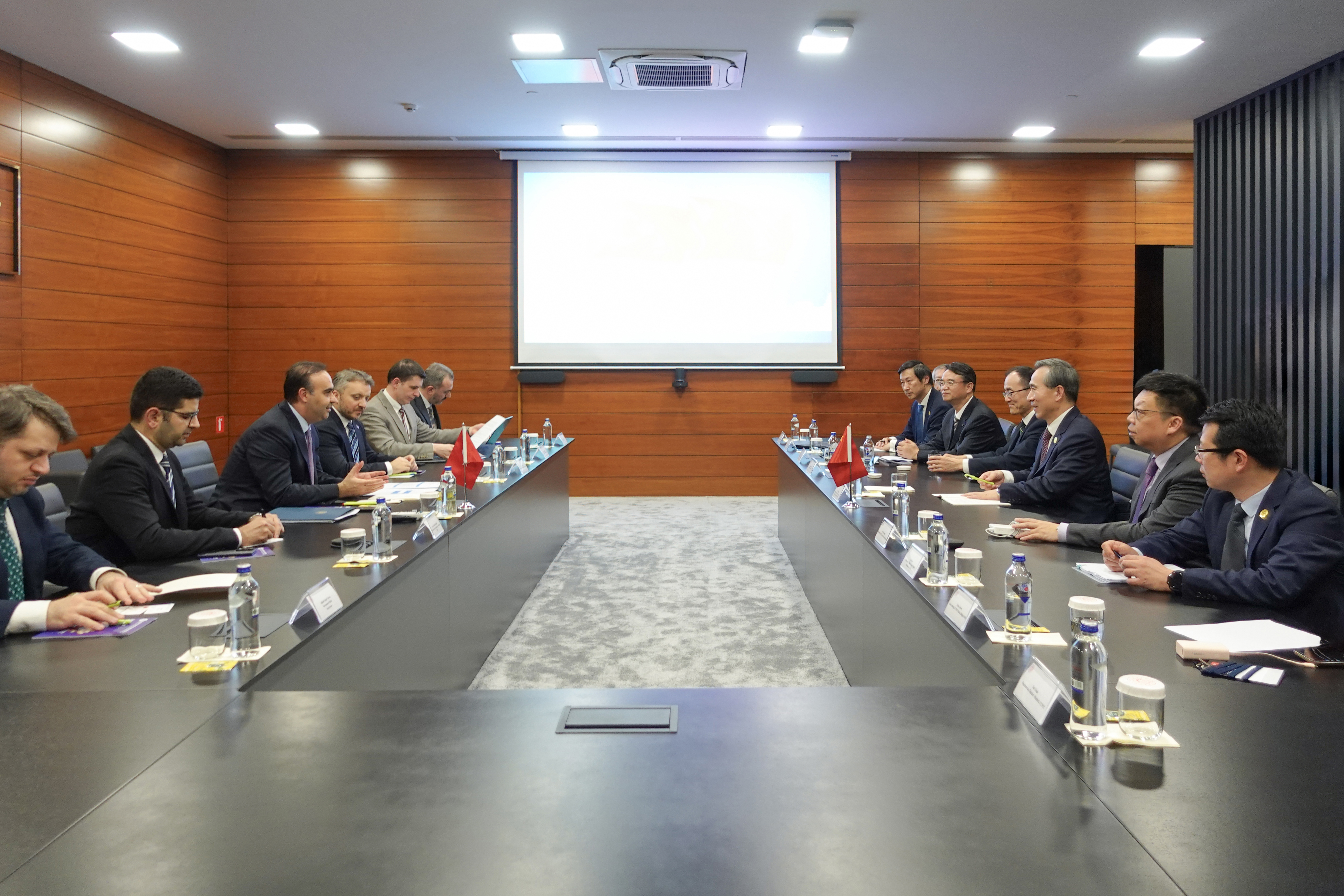 任鸿斌率中国企业家代表团访问土耳其