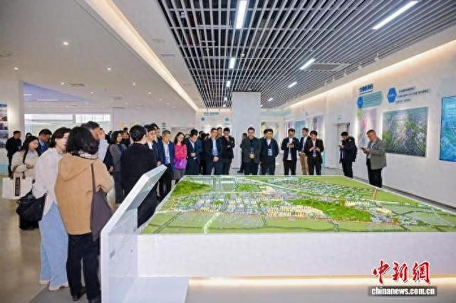 中新网：中国国际商会长三角国际商会联盟南京“觅商机”